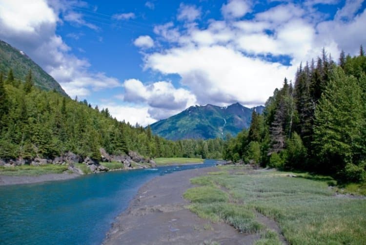7 Best Bus Tours Anchorage