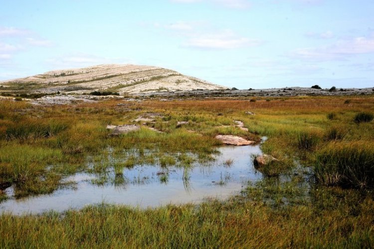 Burren National Park