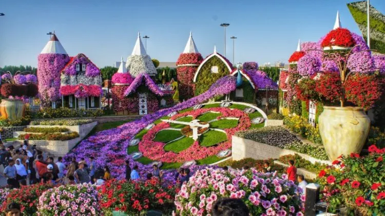 Flowers in Dubai Miracle Garden