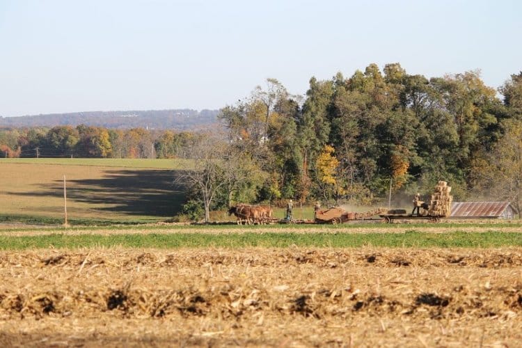 Lancaster Amish Farm Scenery