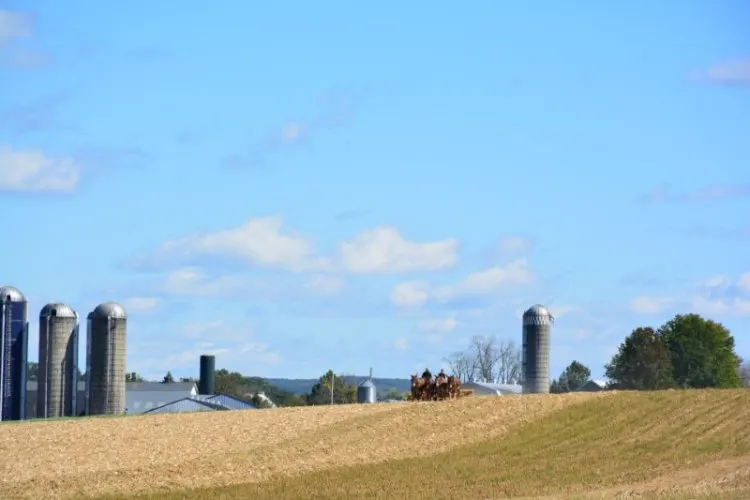 Lancaster County Landscape