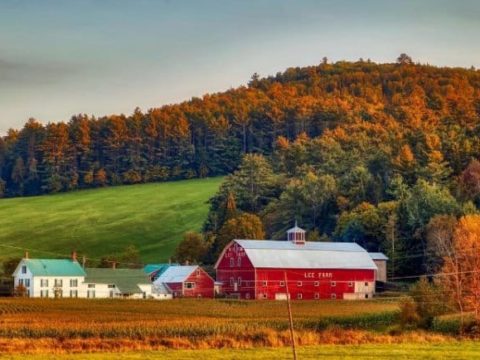 8 Best Fall Bus Tours Of New England