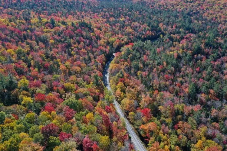 Fall in New Hampshire Road