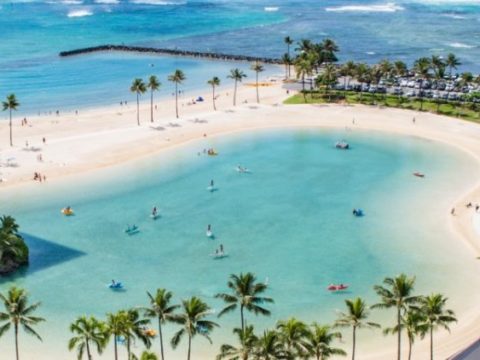 12 Best Hawaii Bus Tours
