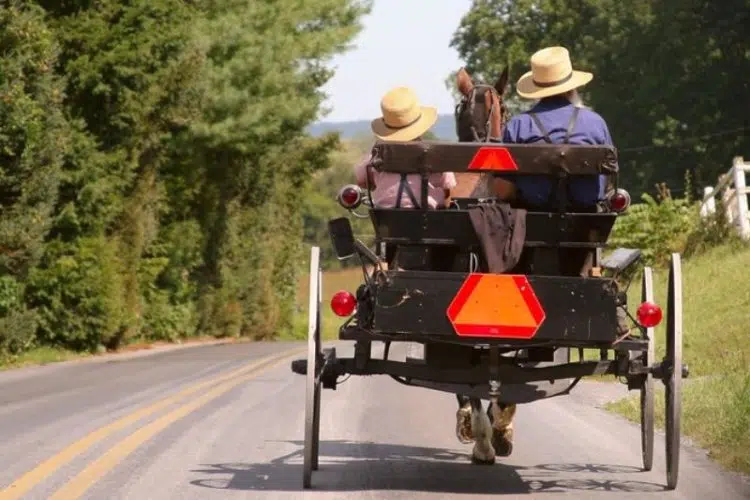 Amish Country Tour