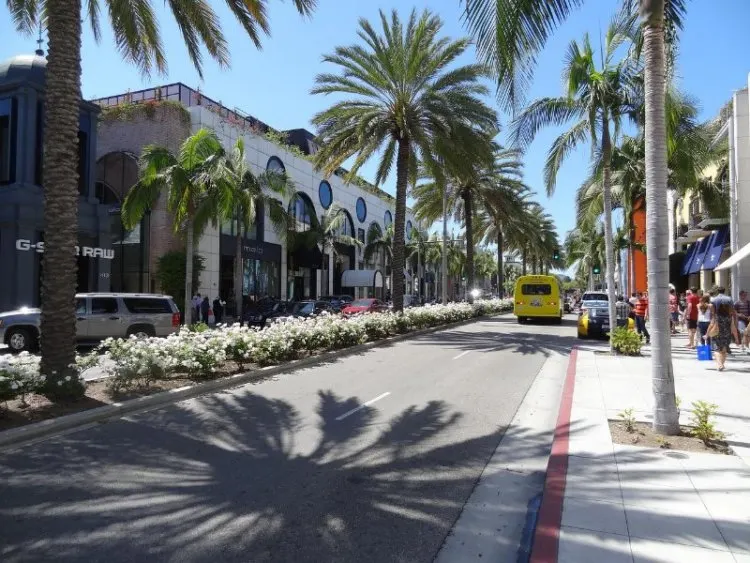 Rodeo Drive and Palm Trees