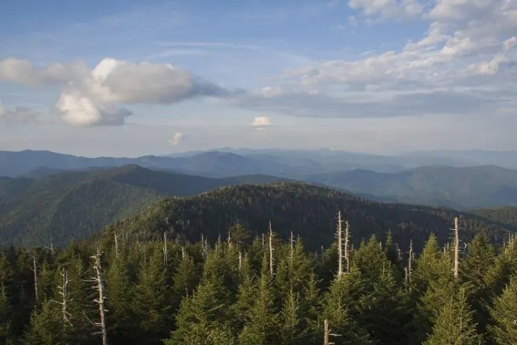 Smoky Mountains Landscape