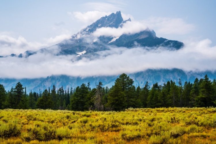 Yellowstone Landscape Scenery