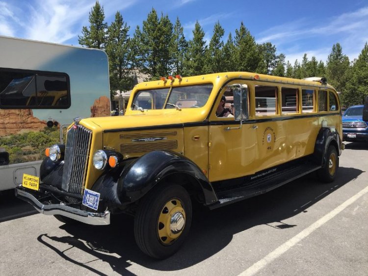 bus tours in yellowstone