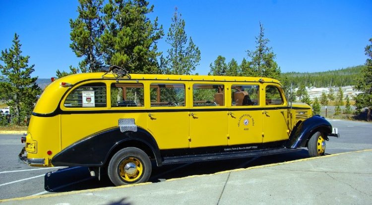 Yellowstone Bus for Tours