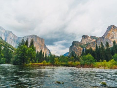 6 Best Yosemite National Park Bus Tours