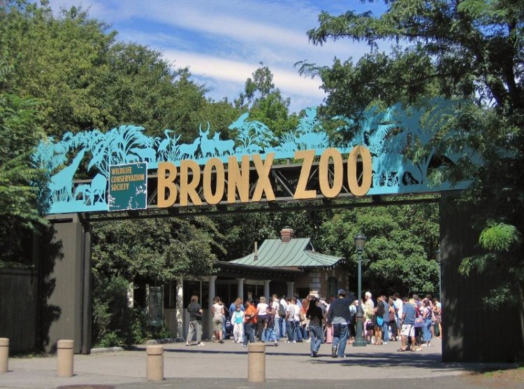 Bronx Zoo Entrance