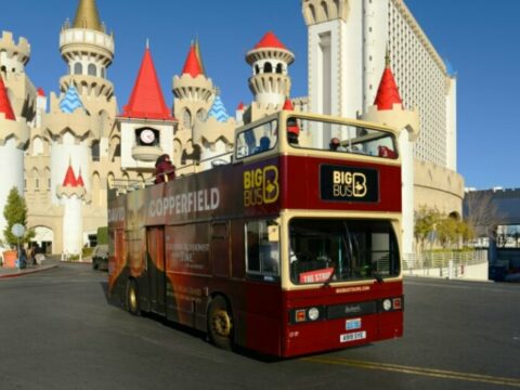 5 Best Bus Tours in Las Vegas, Nevada