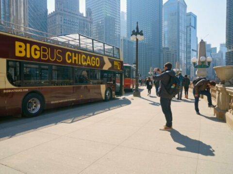 6 Best Bus Tours of Chicago, Illinois