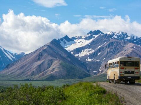 7 Best Bus Tours In Denali National Park