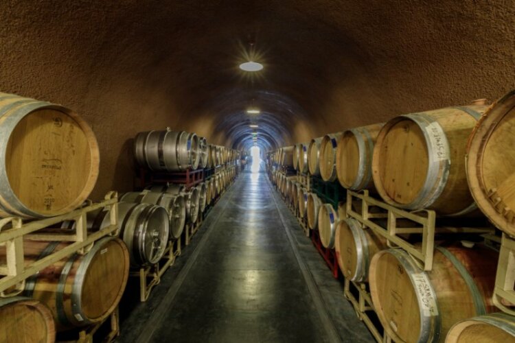 Cask storage in underground wine cellar