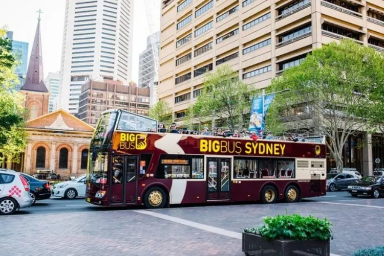 Sydney Bus Tour