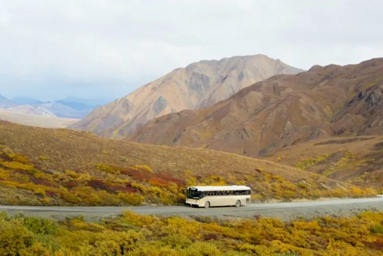 View of a tour bus in  in Denali National Park