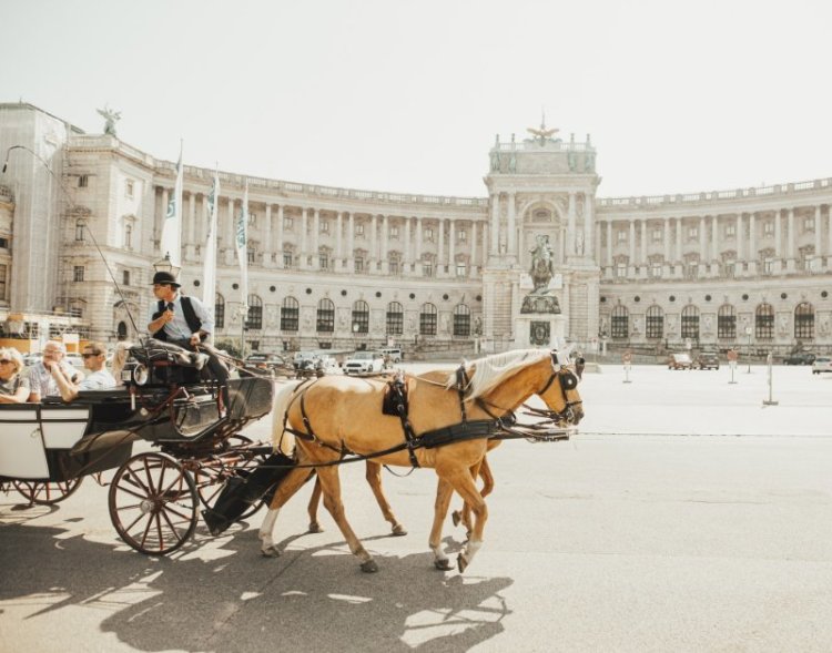 Riding Carriage in Vienna