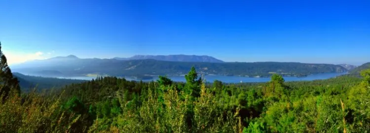 Panorama view of  dense forest and lake