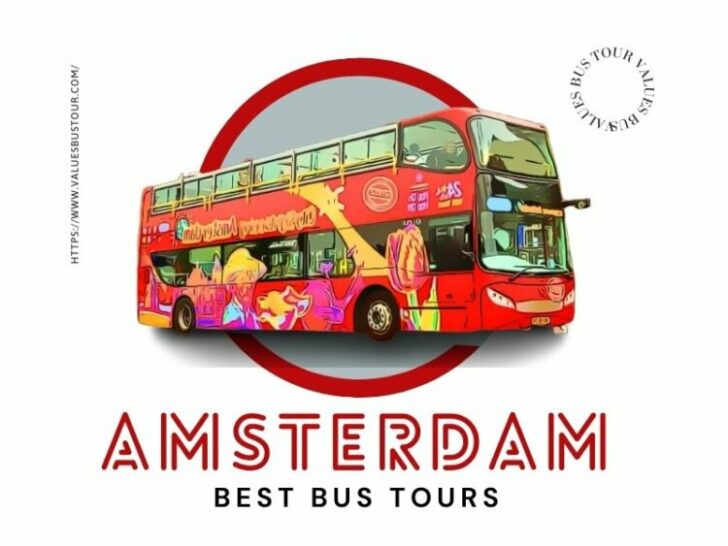 8 Best Bus Tours in Amsterdam