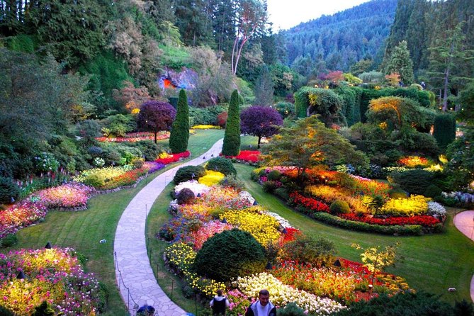 colorful plants at the butchart gardens