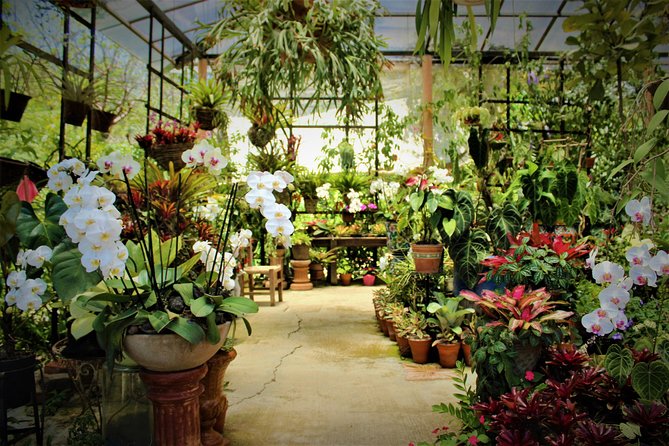 beautiful plants at a greenhouse in Jardín Botánico de Vallarta