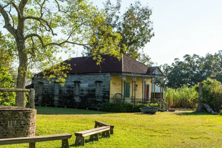 Side view of Laura Plantation