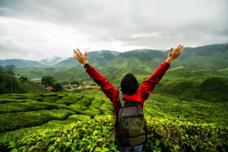 Young asian backpacker traveling into tea fields
