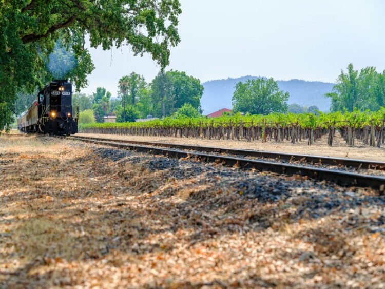 Train passing by a vineyard field