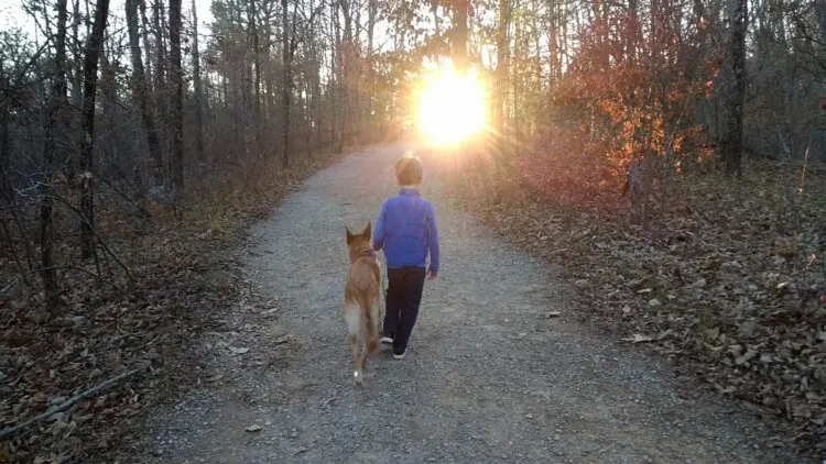 kid and dog strolling along the oak mountain state park