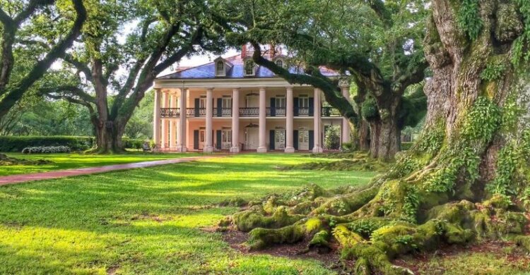 View of Oak alley plantation