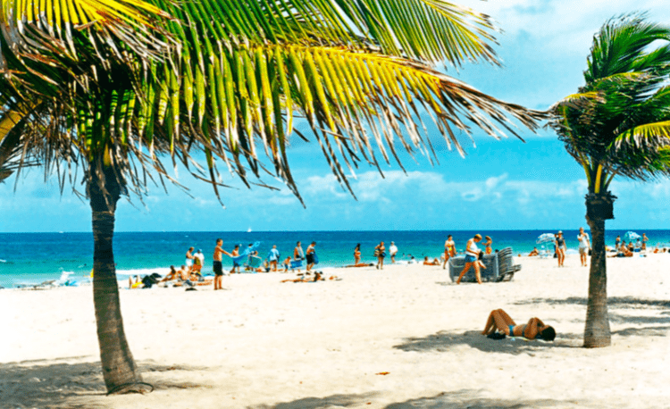 people sunbathing in palm beach fort lauderdale