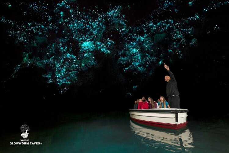 tourists checking out the glowworms inside the cave at Waitomo