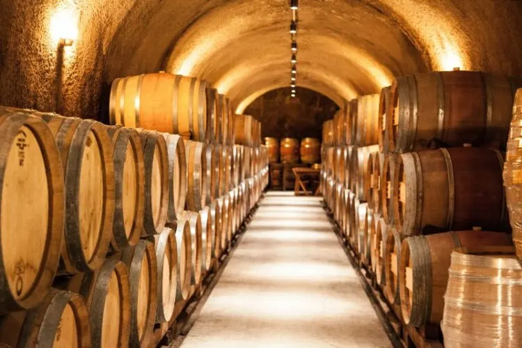 Wine Barrels at winery