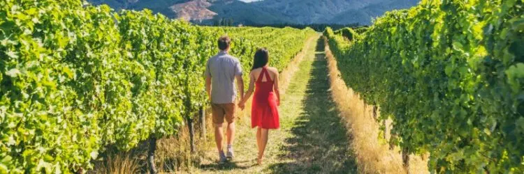 tourists couple walking through a vineyard