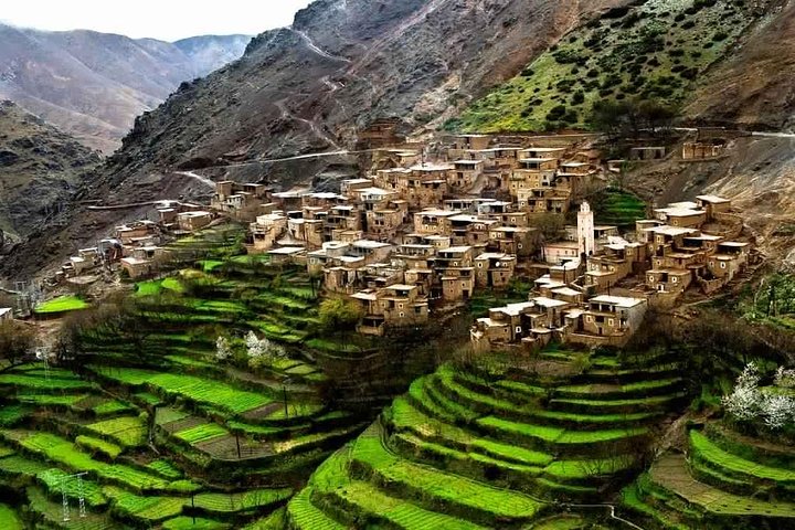 concrete houses in the vast green terraces in atlas mountains