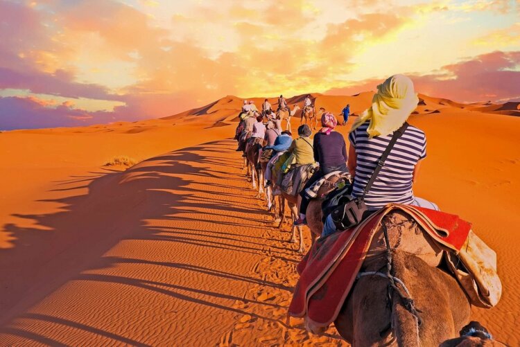 tourists riding a camel in the hot dessert of sahara