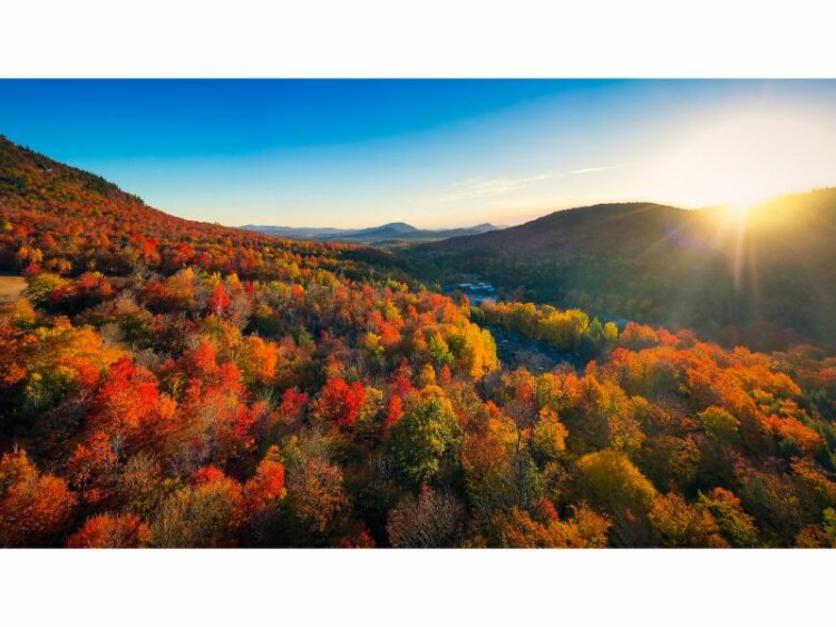 Brilliant Fall Colors in Autumn at Sunrise New England