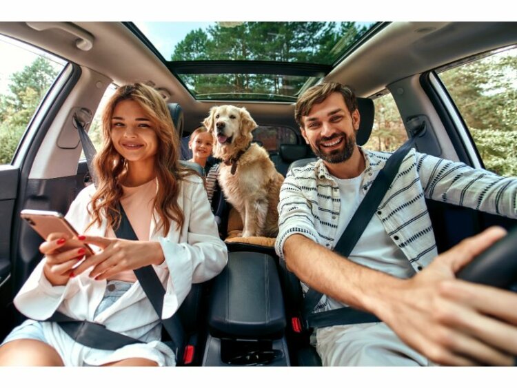 Whole family with dog driving for the weekend