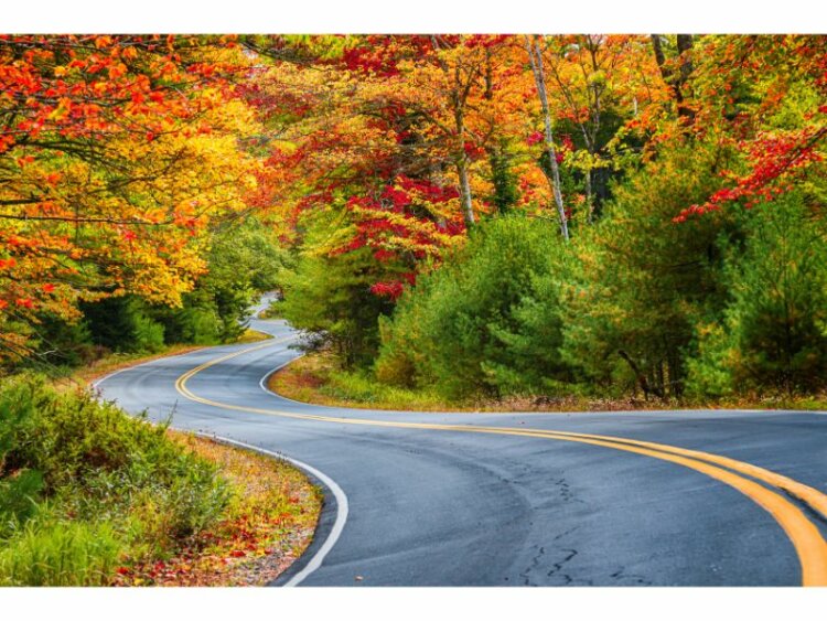 Winding Road through Scenic Autumn New England