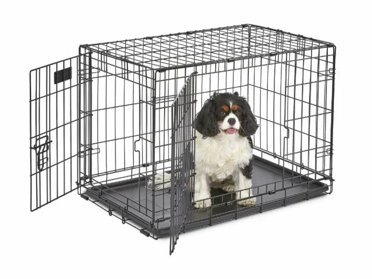 MidWest Homes for Pets' iCrate Double Door Dog Crate