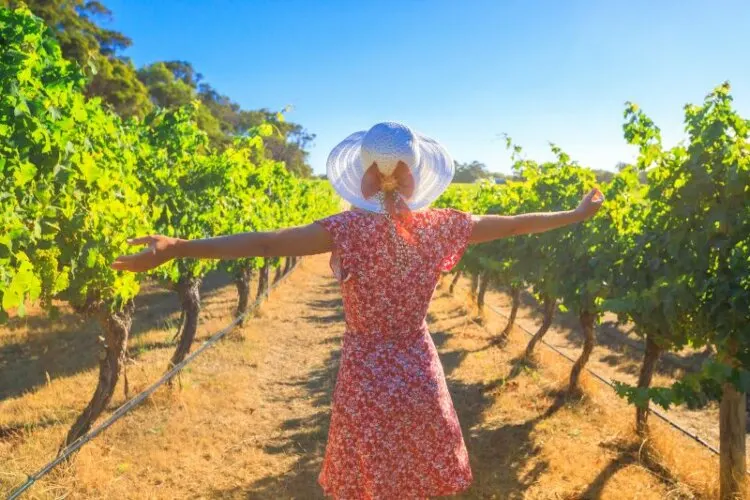 Woman with hat in the vineyard