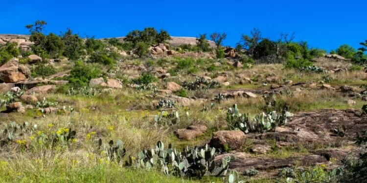 Enchanted Rock State Natural Area 