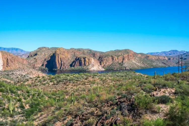 Natural landscape in Apache Junction, Arizona