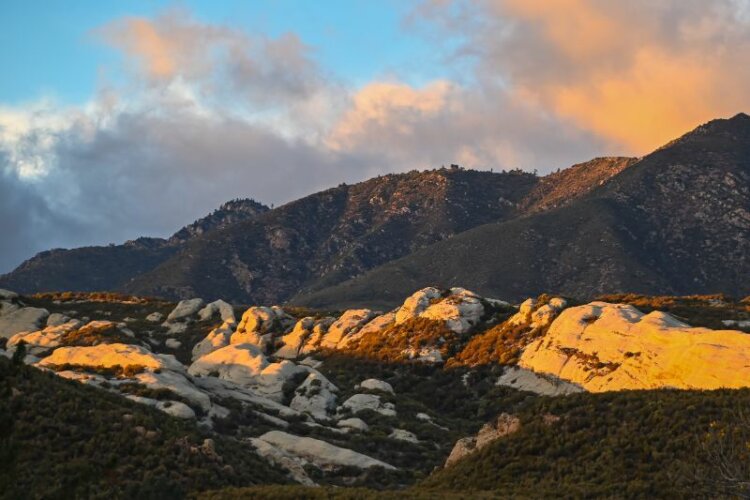 Los Padres National Forest 