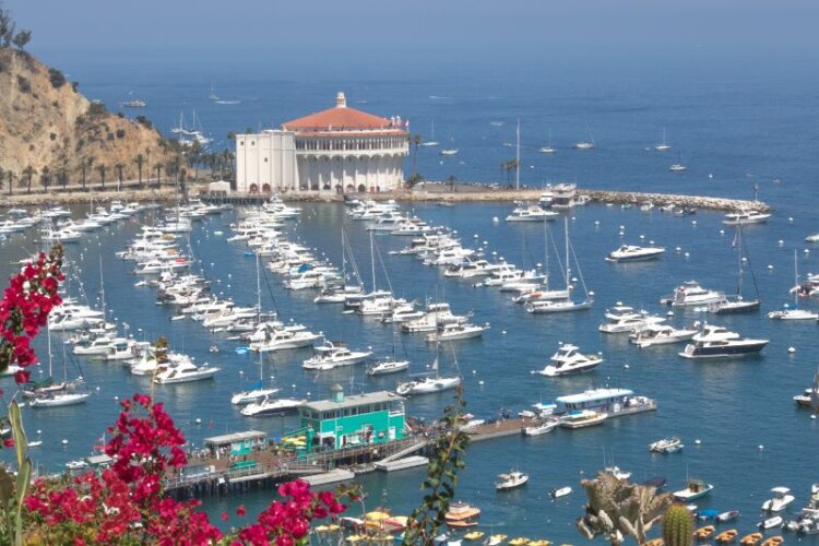 Beautiful Santa Catalina Island  with sailboats docked in California