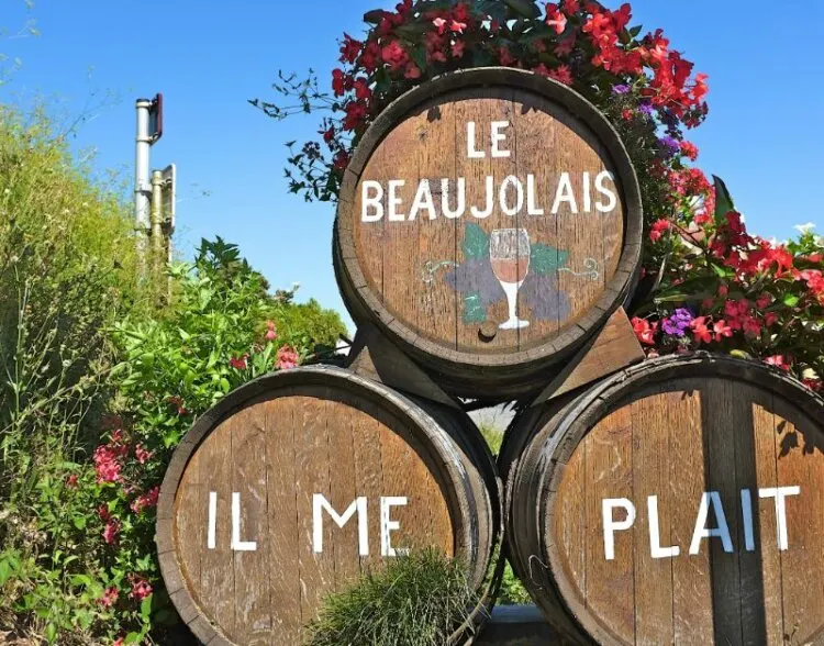 Winery in Beaujolais, France