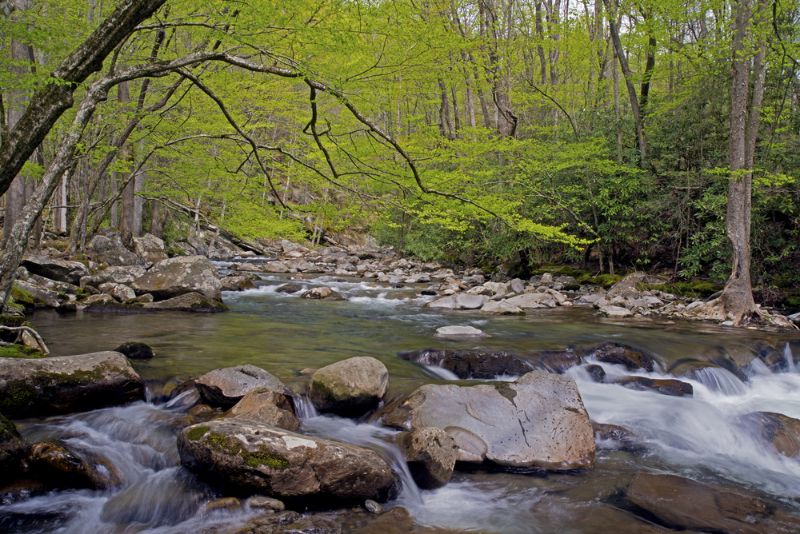 White water stream in The Great Smoky Mountains National Park
