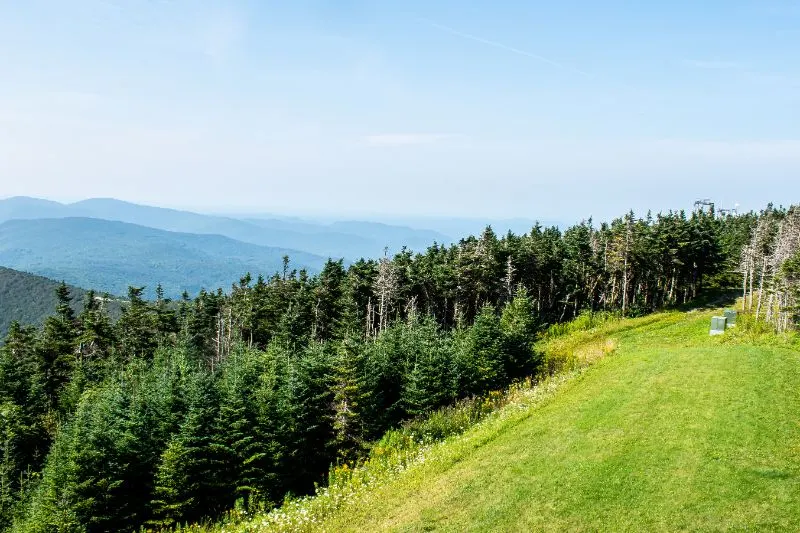 Mount Equinox Forest landscape in Manchester Vermont
